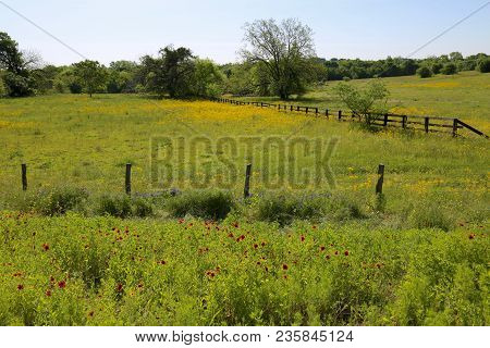 Lovely Spring Has Sprung In Brenham, Tx