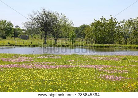 Lovely Spring Has Sprung In Brenham, Tx