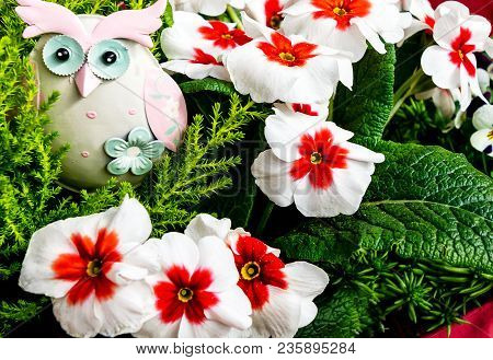 Colorful Spring Flower Arrangement In Ceramic Planter