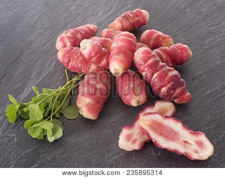 Oxalis Tuberosa In Front Of White Background
