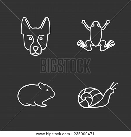 Pets Chalk Icons Set. German Shepherd, Frog, Hamster, Snail. Isolated Vector Chalkboard Illustration
