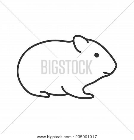 Hamster Linear Icon. Thin Line Illustration. Rodent. Contour Symbol. Vector Isolated Outline Drawing