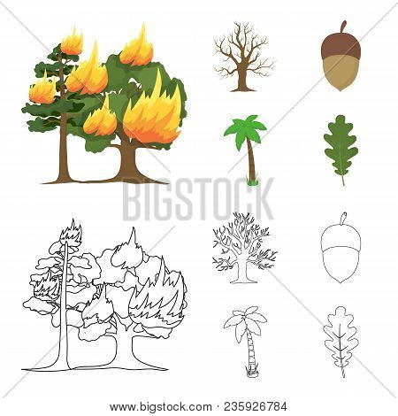 Burning Tree, Palm, Acorn, Dry Tree.forest Set Collection Icons In Cartoon, Outline Style Vector Sym