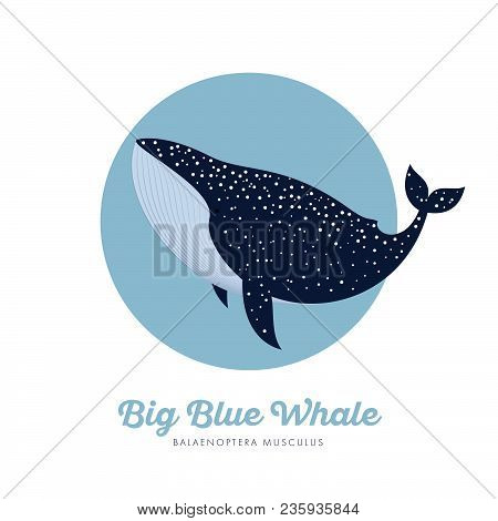 Blue Whale Illustration. Blue Whale In Specks In The Blue Circle.