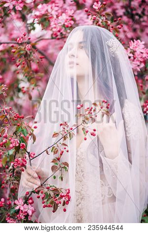 A Beautiful Bride, Girl Under The Veil In Pink Sakura