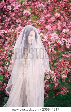 Very Beautiful Girl The Bride Under A Veil, Beige Wedding Dress Near The Tree Sakura Is Looking Down