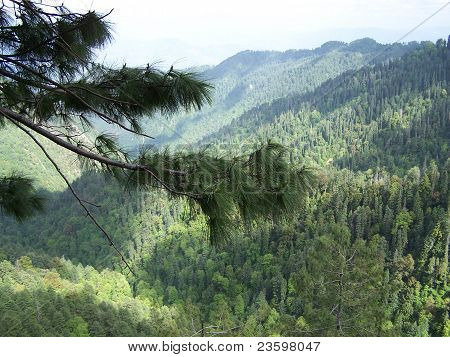 Landscape in murree