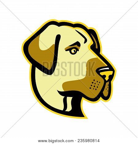 Mascot Icon Illustration Of Head Of A Anatolian Shepherd Dog, Anatolian Blackhead Or Kangal, A  Live