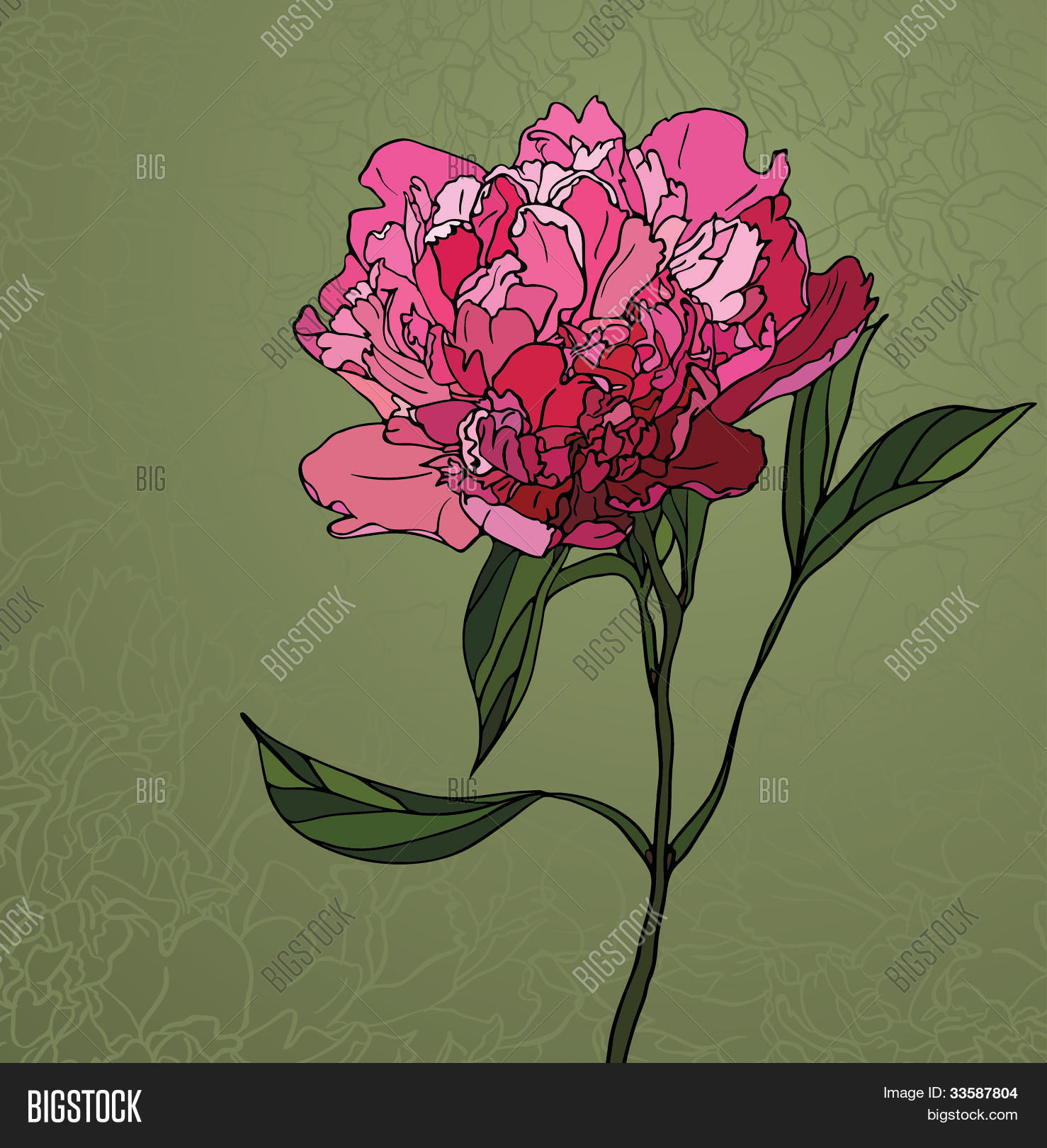 Image Preview