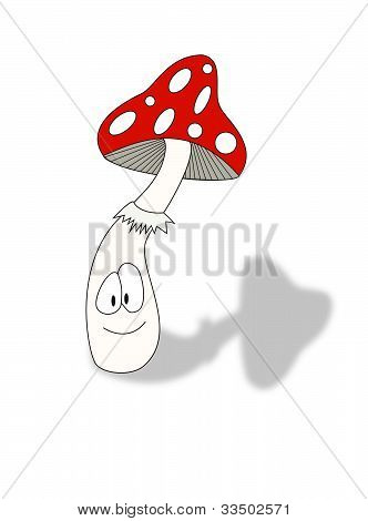 Fliegenpilz