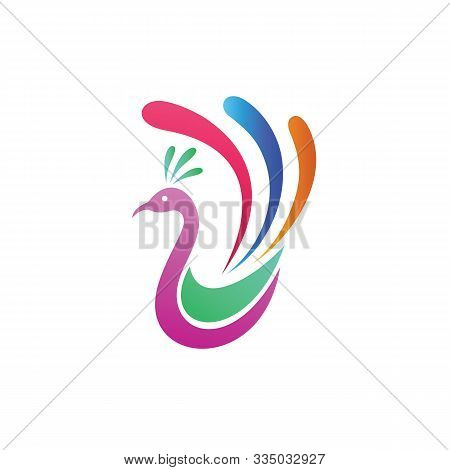Colorful Peacock Logo, Peacock Beautiful Logo Icon