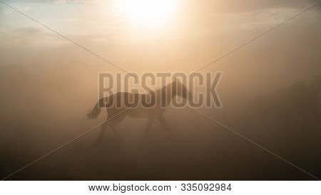 Kayseri, Turkey - November 2019: Single Horse Running And Kicking Up Dust. Yilki Horses In Kayseri T