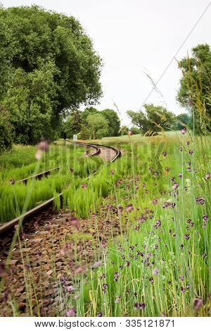Landscape With Railroad Tracks Slowly Growing Over