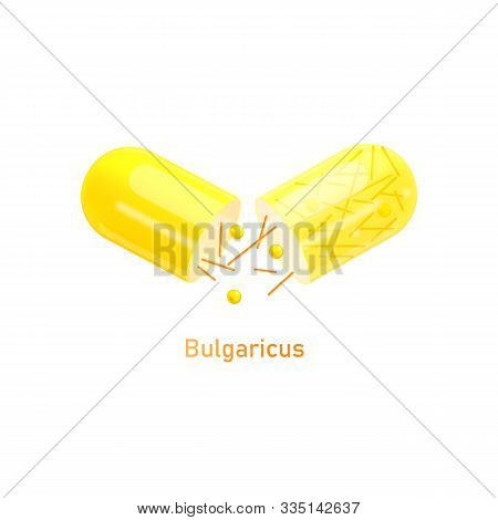 Bulgaricus Probiotics Bacteria In Pill Realistic Vector Illustration Isolated.