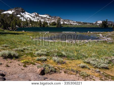 View Of Frog Lake At Mid-day