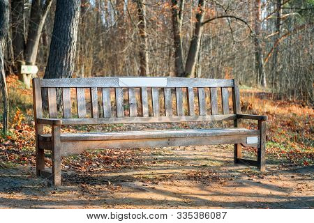 Lonely Wooden Bench With Labels In A Park On Sunny Autumn Day. Close View