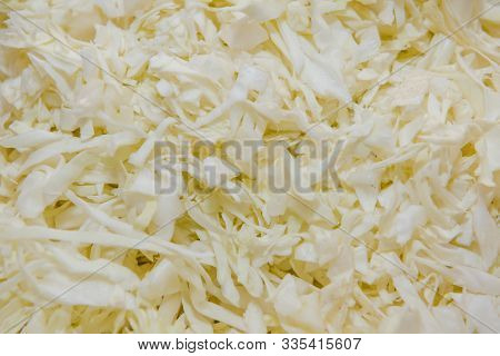 Sliced Cabbage Background. Cabbage Salad. Cut Cabbage Into Small Pieces. Seasoning On A Salad. Pickl