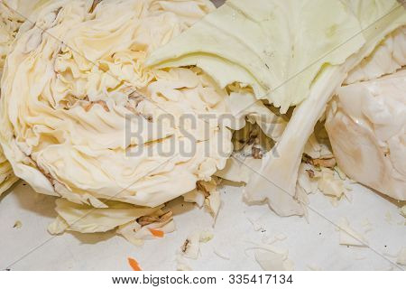Chop Cabbage. Harvesting Cabbage. Homemade Blanks. A Lot Of Cabbage Close-up. Cut The Camouflage.