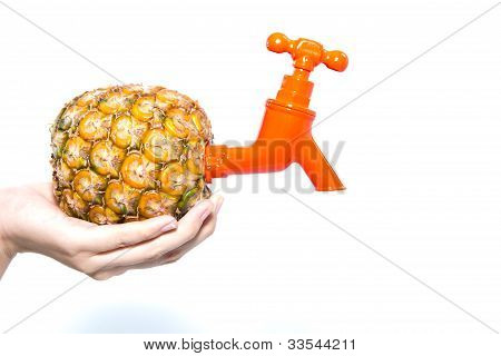 ananas připojit kohoutem