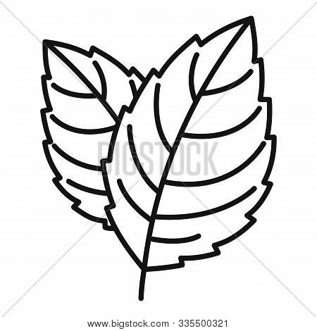 Peppermint Icon. Outline Peppermint Vector Icon For Web Design Isolated On White Background