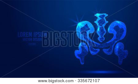 Pelvic Bone Geometric Lines, Low Poly Style Wireframe Vector Banner Template. Isolated Medicine Scie