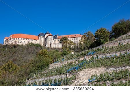 Saxony Anhalt, View Of Vineyards With Grapevines In Autumn In Freyburg / Unstrut
