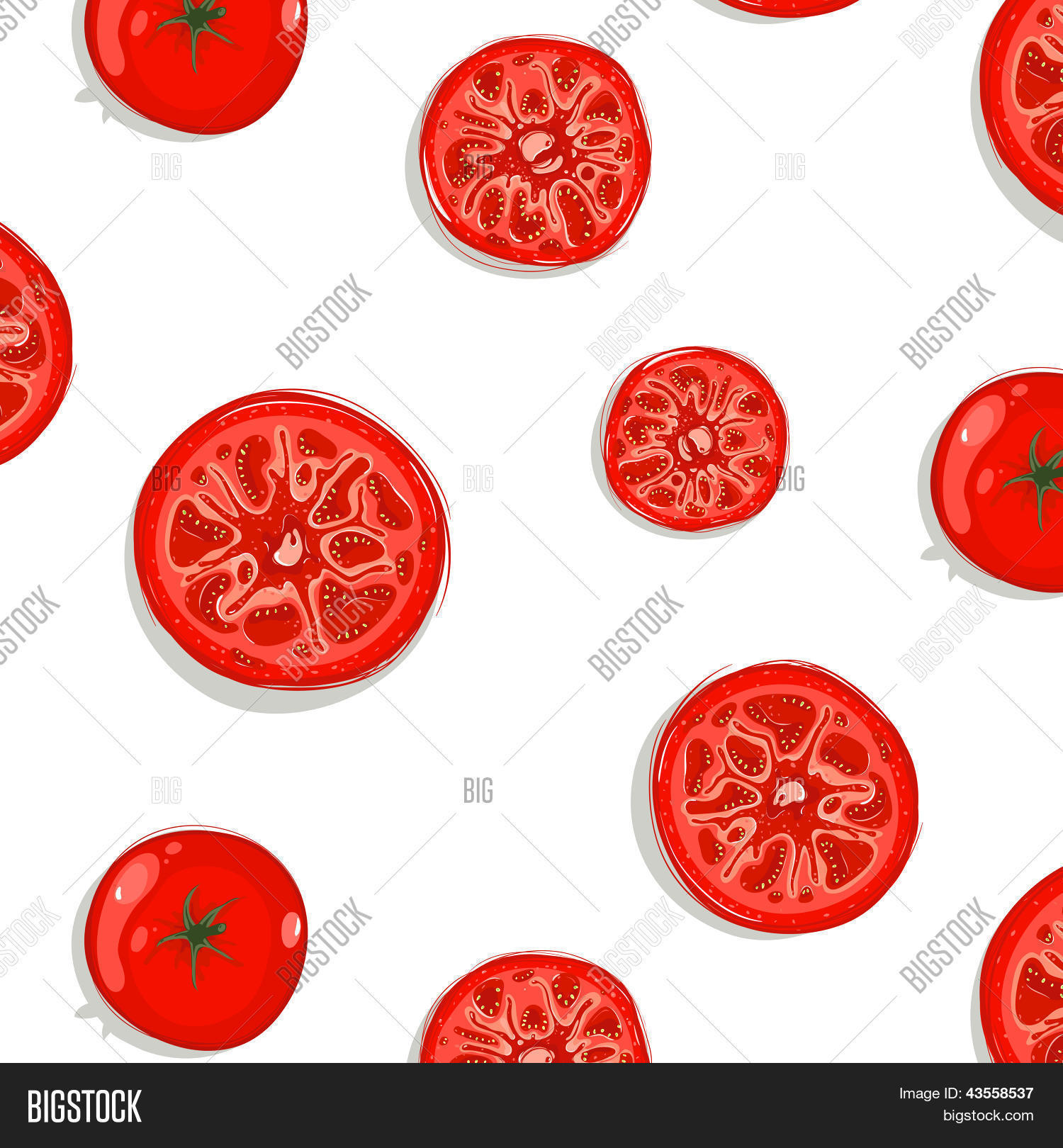 Tomato Slices Vector & Photo (Free Trial) | Bigstock