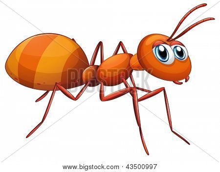흰색 바탕에 큰 개미의 그림