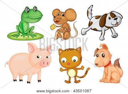 白い背景の上の土地の動物の differrent 種類のイラスト