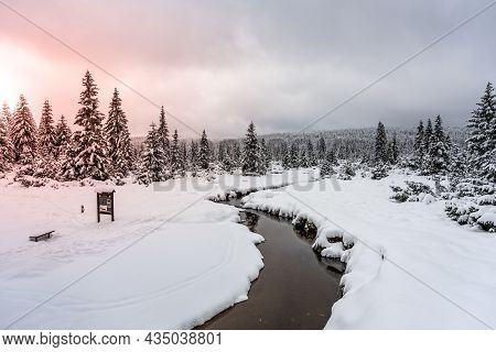 Winter In Jizera Mountains. Snowy Landscape With Trees And Small Creek. Czech Republic