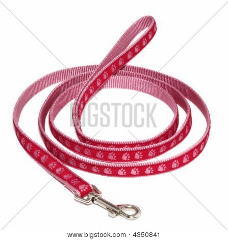 Pink Dog Leash
