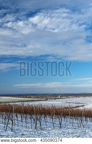 Winter landscape near Popice, Southern Moravia, Czech Republic