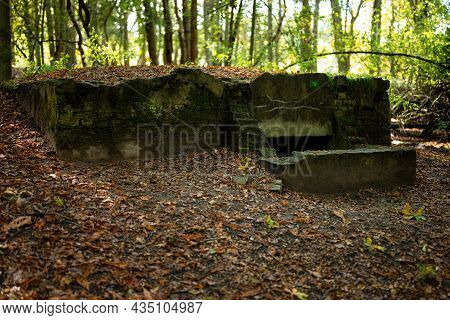 A Bunker (shelter) From World War 2 In The Woods Of The Waterleidingduinen (heemstede  Zandvoort  Vo