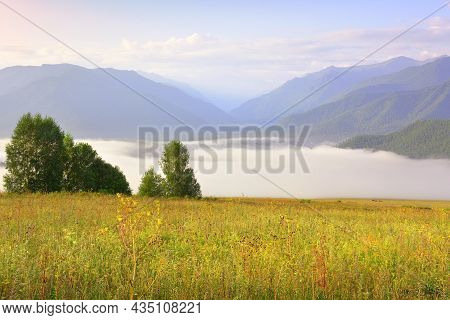 A Green Meadow Against The Background Of Blue Mountains Under The Morning Sky. Siberia, Russia
