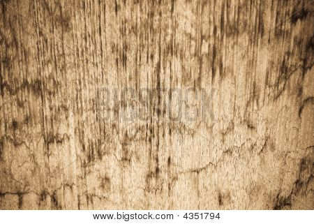 Træ Grunge tekstur