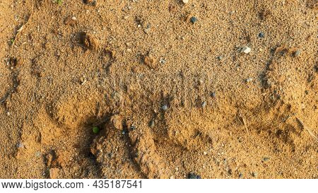 Corrugated Metal Sheet Texture Background. Texture Of Brown Metal Profiled Sheet Fence Decking. Faci
