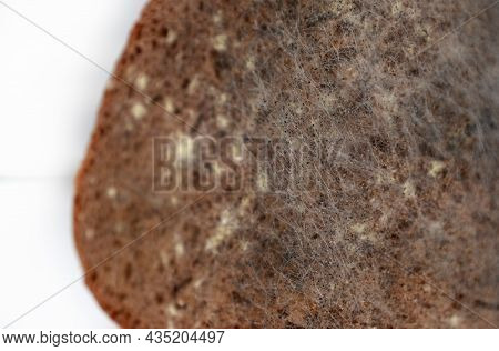 Mouldy Bread. Rotten And Uneatable. Food Mildew