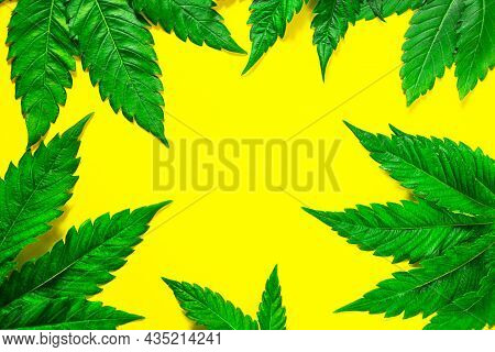 Frame Made Of Hemp Leaves On A Yellow Background. Cannabis Close-up. Marijuana Is A Drug And Alterna