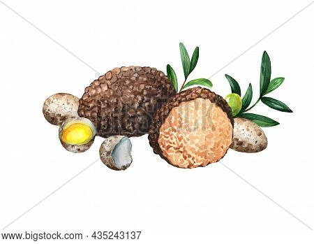 Quail Eggs Truffle Watercolor.illustration Isolated On White Background