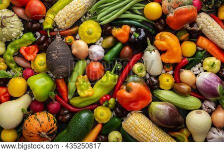 Background With Fresh Autumn Vegetables