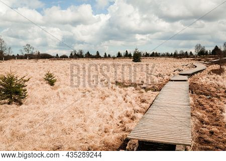 The High Fens, Hoge Venen, Belgium, Signal Van Botrange