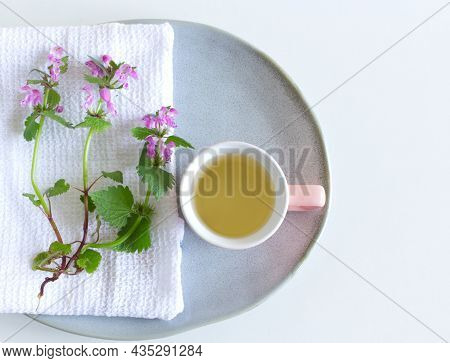 Closeup Of Lamium Amplexicaule, Commonly Known As Common Henbit, Or Greater Henbit, Earthenware Plat