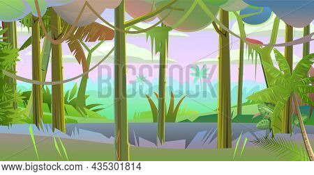 Rain Forest. Dense Thickets. Morning Sunrise Dawn Or Evening Sunset. View From The Jungle Tropical F