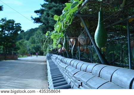 A Long Line Of Tiles And Fruits On Top Of Them