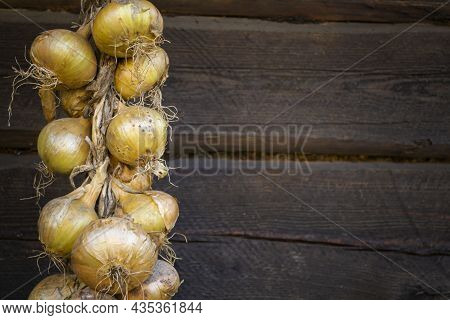 Harvest. String Of Golden Onion. Bunches Of Onions Are Dried On Dark Wooden Wall.