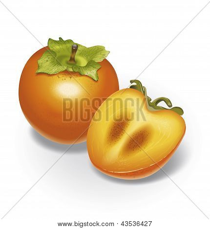 Persimmon