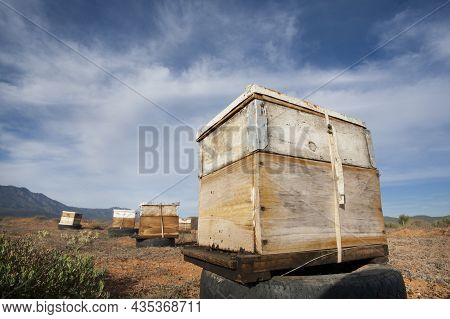Beehives Being Used For Pollination Of Vegetables And Fruit Crops In The Nuy Valley In The Breede Ri