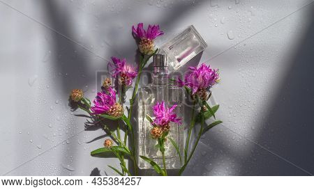 A Bottle Of Perfume Or Herbal Oil From Violet, Magenta, Crimson, Lilac, Burgundy, Scarlet Colors On 