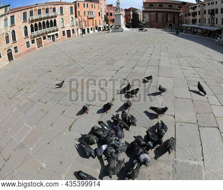 Square In Venice Called Campo Santo Stefano With Pingeons During Lockdown Without People