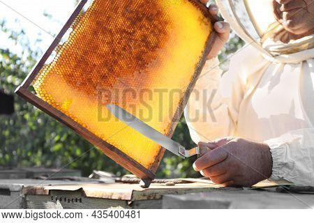 Senior Beekeeper Uncapping Honeycomb Frame With Knife At Table Outdoors, Closeup